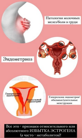 [Гарбузова Галa] Школа здоровья Эндометриоз (2023)_0.png